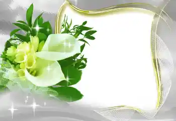 PhotoEffect da categoria Molduras para fotografias femininas № 185965