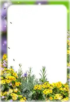 PhotoEffect da categoria Molduras para fotografias femininas № 187069