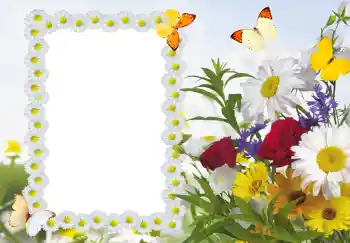 PhotoEffect da categoria Molduras para fotografias femininas № 187