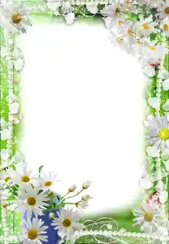 PhotoEffect da categoria Molduras para fotografias femininas № 188140
