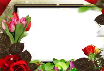 PhotoEffect da categoria Molduras para fotografias femininas № 188224