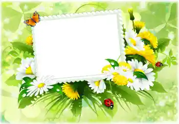 PhotoEffect da categoria Molduras para fotografias femininas № 189302