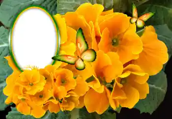 PhotoEffect da categoria Molduras para fotografias femininas № 189369