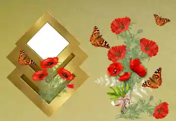 PhotoEffect da categoria Molduras para fotografias femininas № 189371
