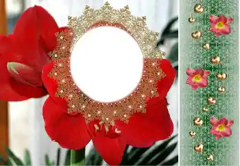 PhotoEffect da categoria Molduras para fotografias femininas № 190480