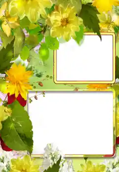 PhotoEffect da categoria Molduras para fotografias femininas № 190522