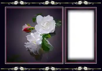 PhotoEffect da categoria Molduras para fotografias femininas № 194163 PhotoEffect da categoria Molduras para fotografias femininas № 194163