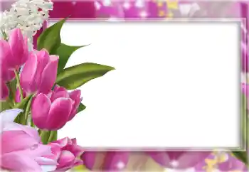 PhotoEffect da categoria Molduras para fotografias femininas № 196363
