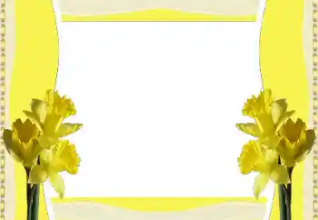 PhotoEffect da categoria Molduras para fotografias femininas № 196380