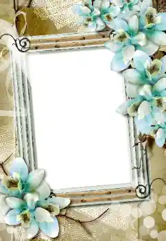 PhotoEffect da categoria Molduras para fotografias femininas № 198873