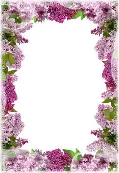 PhotoEffect da categoria Molduras para fotografias femininas № 203297 PhotoEffect da categoria Molduras para fotografias femininas № 203297