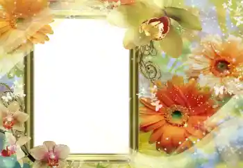 PhotoEffect da categoria Molduras para fotografias femininas № 204