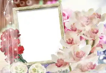 PhotoEffect da categoria Molduras para fotografias femininas № 205