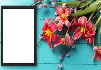 PhotoEffect da categoria Molduras para fotografias femininas № 206174