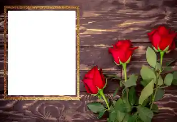 PhotoEffect da categoria Molduras para fotografias femininas № 206175