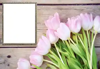 PhotoEffect da categoria Molduras para fotografias femininas № 206178