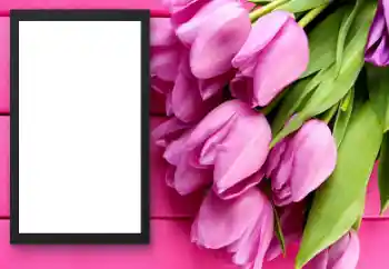 PhotoEffect da categoria Molduras para fotografias femininas № 206179