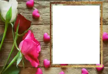 PhotoEffect da categoria Molduras para fotografias femininas № 206183