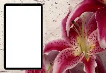 PhotoEffect da categoria Molduras para fotografias femininas № 206184