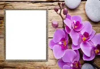 PhotoEffect da categoria Molduras para fotografias femininas № 206185