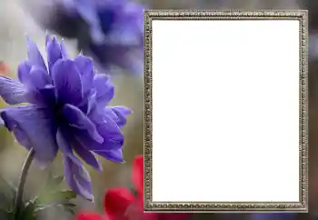 PhotoEffect da categoria Molduras para fotografias femininas № 206189