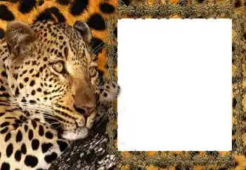 PhotoEffect da categoria Molduras para fotografias femininas № 214