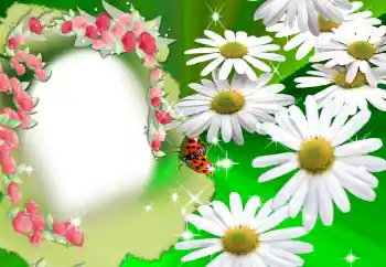 PhotoEffect da categoria Molduras para fotografias femininas № 2160