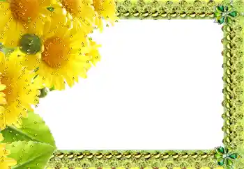 PhotoEffect da categoria Molduras para fotografias femininas № 217