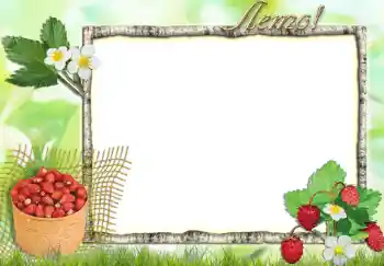 PhotoEffect da categoria Molduras para fotografias femininas № 218. Texto na moldura: Лето.