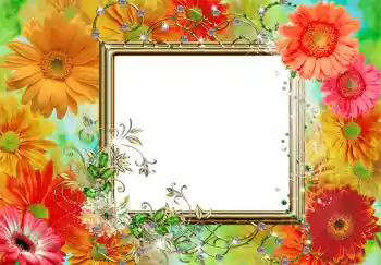 PhotoEffect da categoria Molduras para fotografias femininas № 219