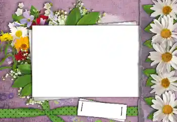 PhotoEffect da categoria Molduras para fotografias femininas № 24462 PhotoEffect da categoria Molduras para fotografias femininas № 24462