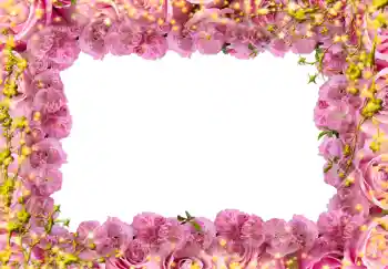 PhotoEffect da categoria Molduras para fotografias femininas № 244 PhotoEffect da categoria Molduras para fotografias femininas № 244