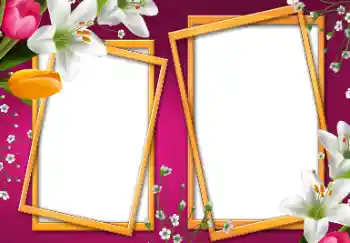 PhotoEffect da categoria Molduras para fotografias femininas № 25416 PhotoEffect da categoria Molduras para fotografias femininas № 25416