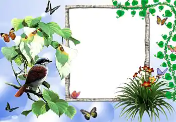 PhotoEffect da categoria Molduras para fotografias femininas № 255
