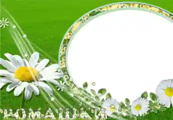 PhotoEffect da categoria Molduras para fotografias femininas № 263. Texto na moldura: Ромашки. PhotoEffect da categoria Molduras para fotografias femininas № 263. Texto na moldura: Ромашки.