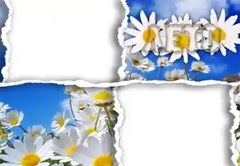PhotoEffect da categoria Molduras para fotografias femininas № 267. Texto na moldura: Лето. PhotoEffect da categoria Molduras para fotografias femininas № 267. Texto na moldura: Лето.