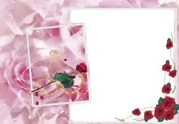 PhotoEffect da categoria Molduras para fotografias femininas № 2697 PhotoEffect da categoria Molduras para fotografias femininas № 2697