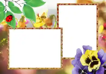 PhotoEffect da categoria Molduras para fotografias femininas № 273 PhotoEffect da categoria Molduras para fotografias femininas № 273