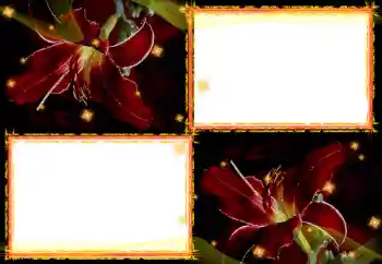 PhotoEffect da categoria Molduras para fotografias femininas № 27702 PhotoEffect da categoria Molduras para fotografias femininas № 27702