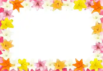 PhotoEffect da categoria Molduras para fotografias femininas № 2989 PhotoEffect da categoria Molduras para fotografias femininas № 2989