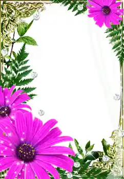 PhotoEffect da categoria Molduras para fotografias femininas № 32733