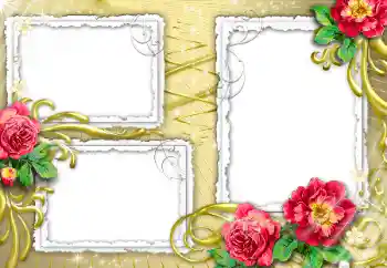 PhotoEffect da categoria Molduras para fotografias femininas № 32840