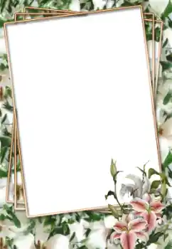 PhotoEffect da categoria Molduras para fotografias femininas № 33703