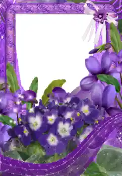 PhotoEffect da categoria Molduras para fotografias femininas № 33734