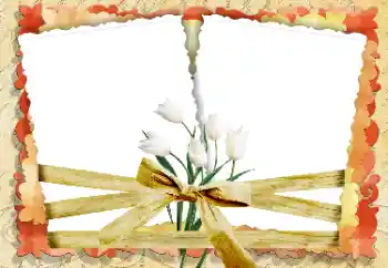 PhotoEffect da categoria Molduras para fotografias femininas № 33847