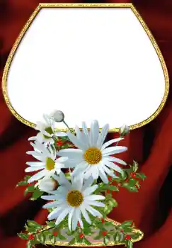 PhotoEffect da categoria Molduras para fotografias femininas № 34708 PhotoEffect da categoria Molduras para fotografias femininas № 34708