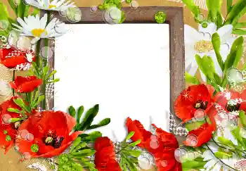 PhotoEffect da categoria Molduras para fotografias femininas № 3491 PhotoEffect da categoria Molduras para fotografias femininas № 3491