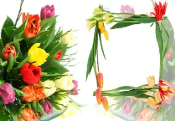 PhotoEffect da categoria Molduras para fotografias femininas № 40387