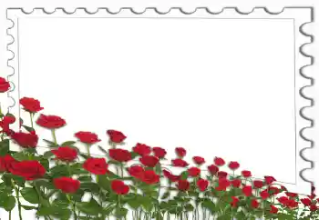 PhotoEffect da categoria Molduras para fotografias femininas № 4162