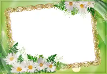 PhotoEffect da categoria Molduras para fotografias femininas № 45907 PhotoEffect da categoria Molduras para fotografias femininas № 45907